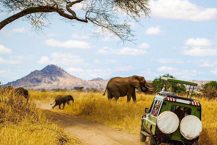 5 Reasons to go on Safari to Africa With Your Kids