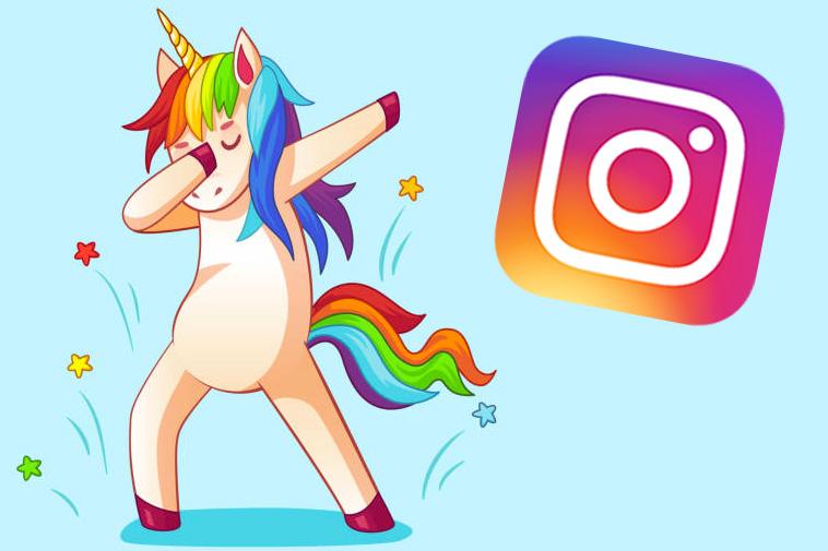 The Best 5 Instagram Meme Pages You Should Follow Right Now